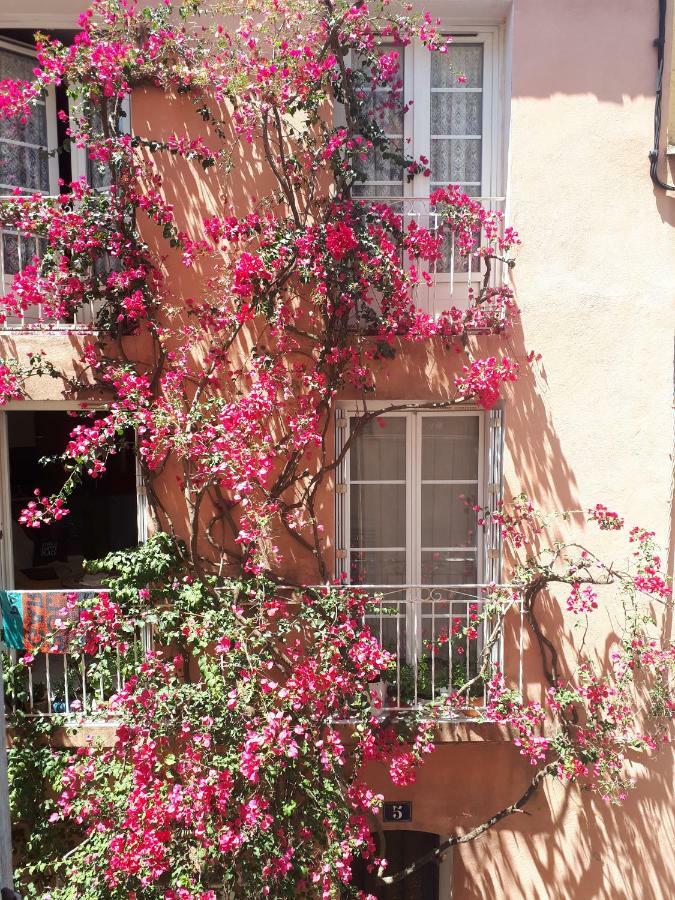 Blue Palm Apartment Hyères Exteriér fotografie